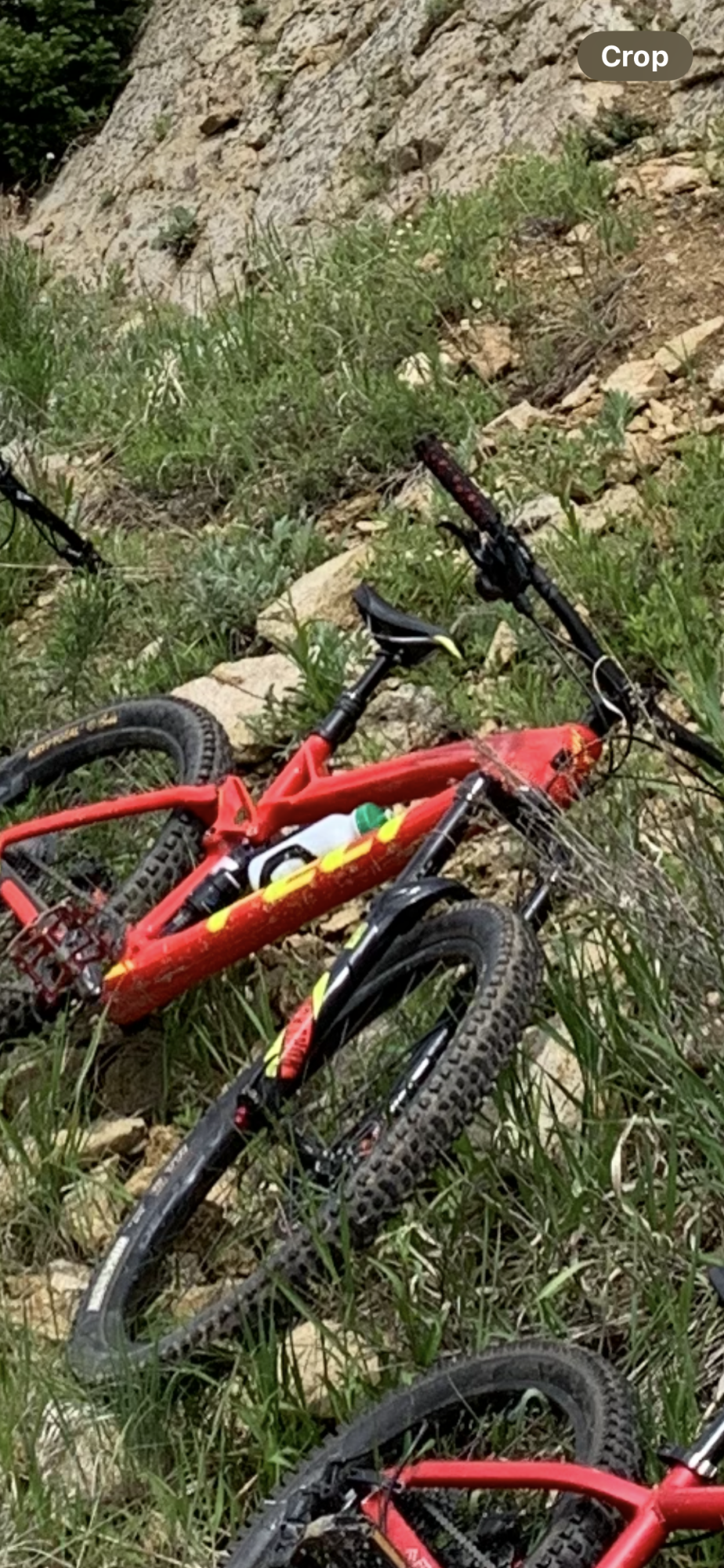 2021 Felt Decree Red