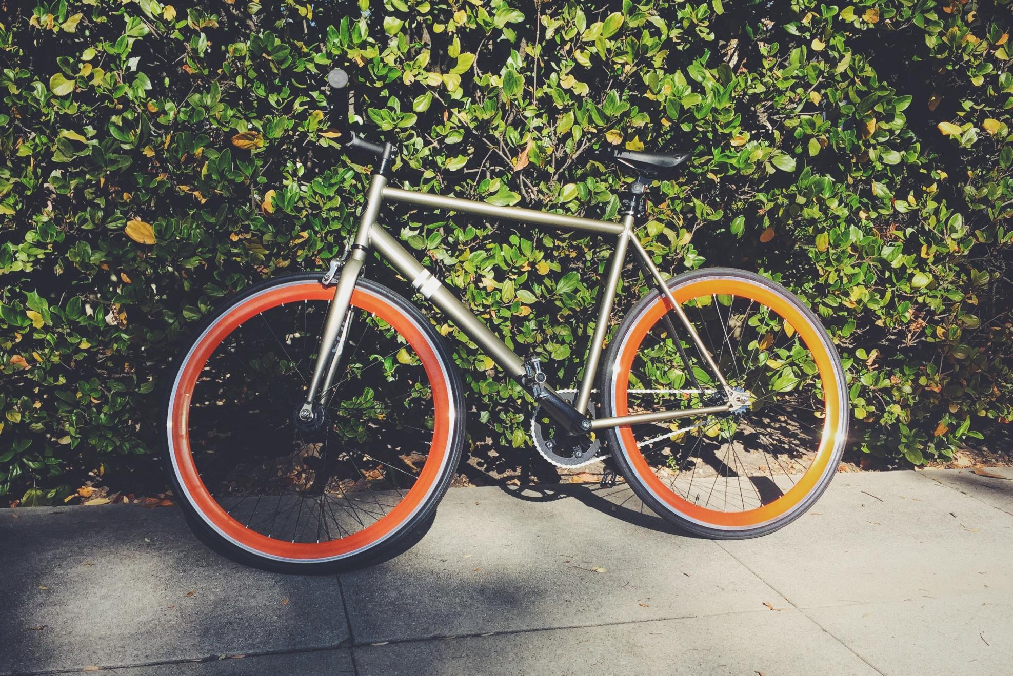 2015 Solé El Tigre Silver or Gray and Orange