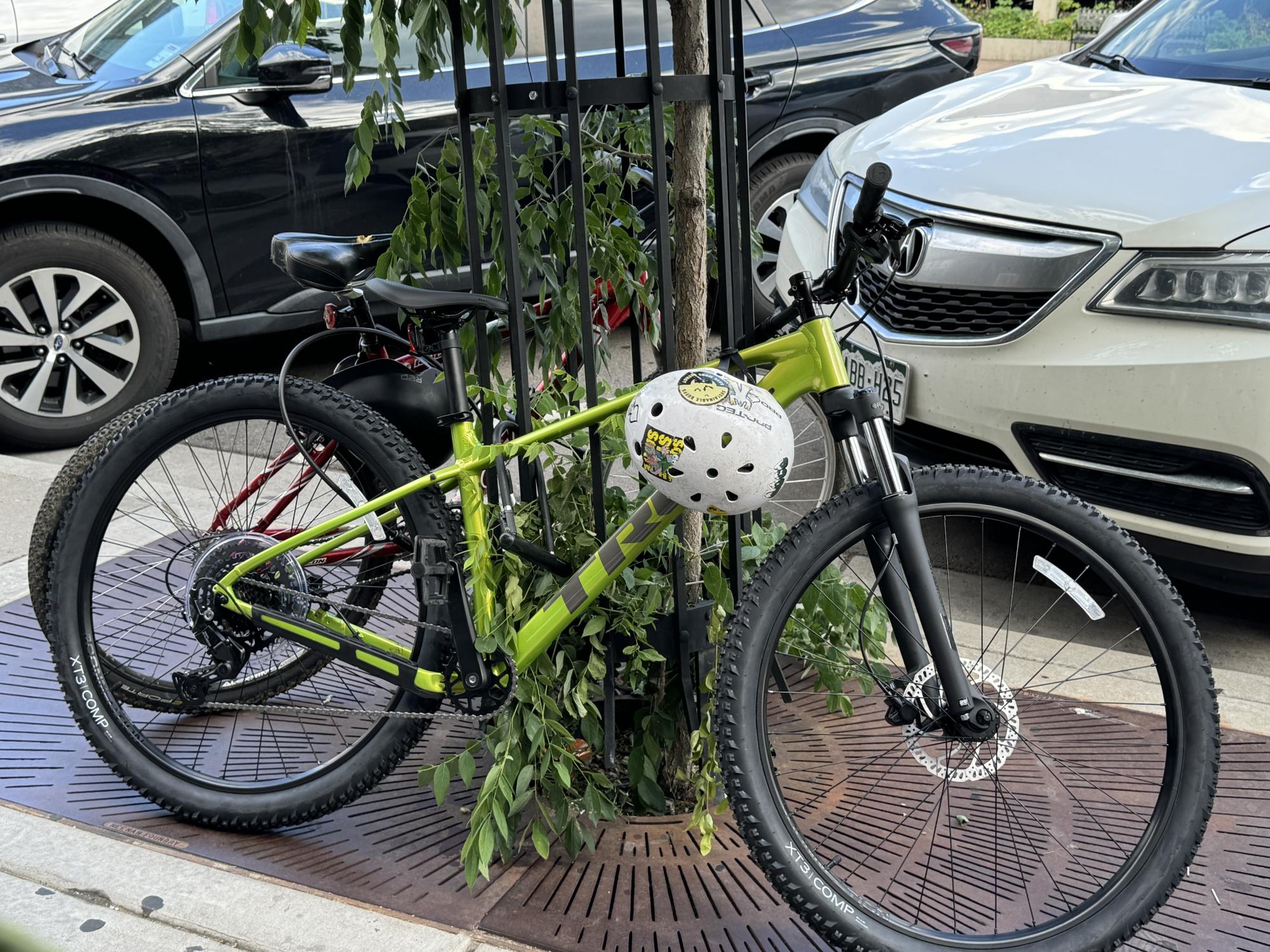 2024 Trek Marlin 5 Gen 3 Green