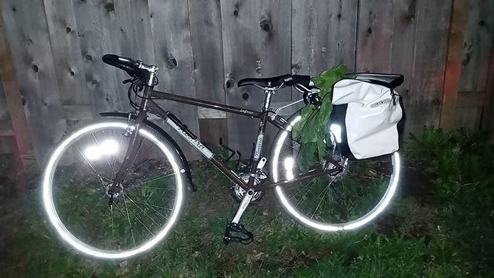 2014 Novara Safari  Brown and White