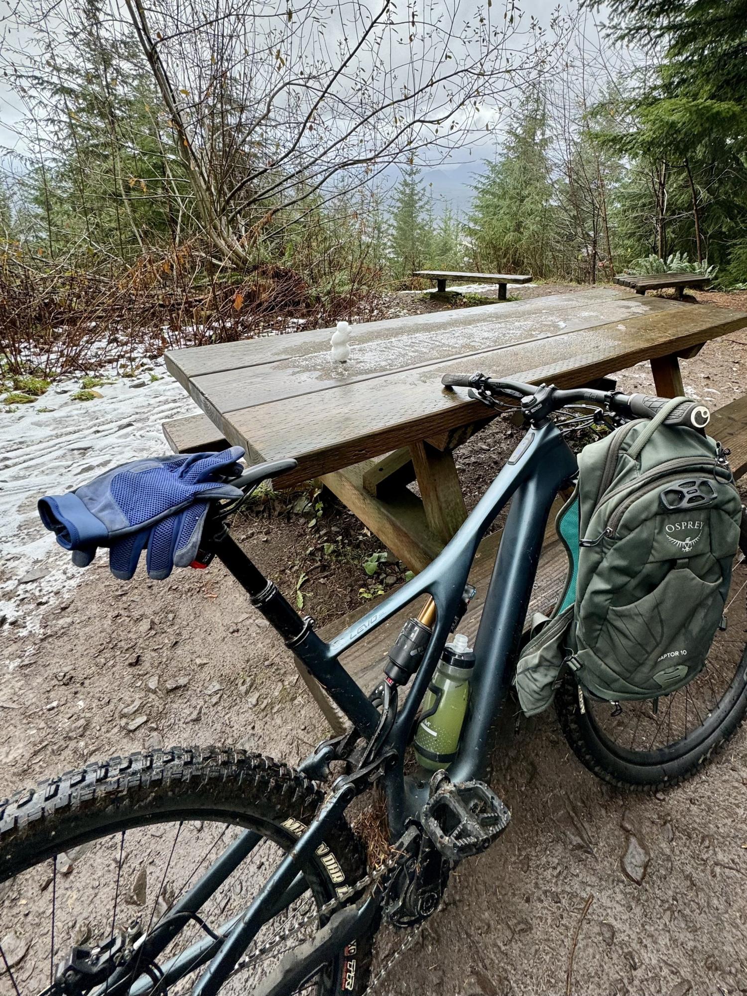 2021 Specialized Levo SL Green