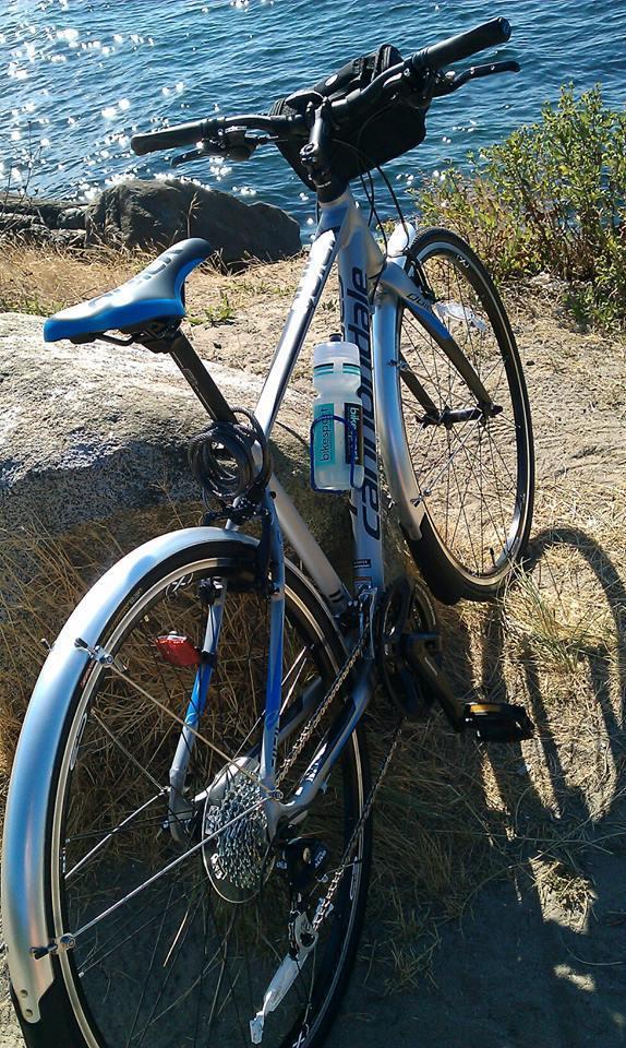 Cannondale 13 QUICK 4 SLV MED  Silver or Gray