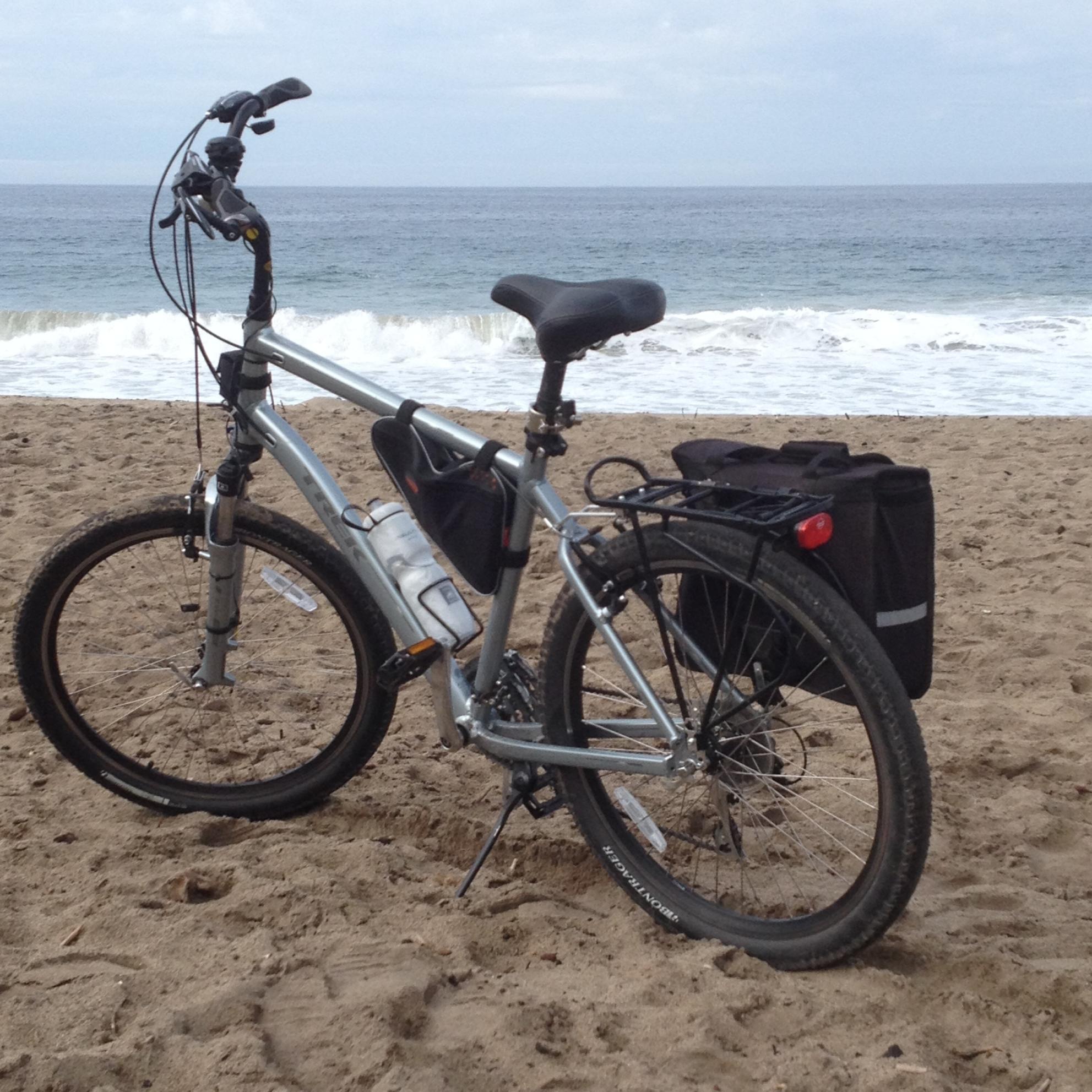 2015 Trek Silver or Gray