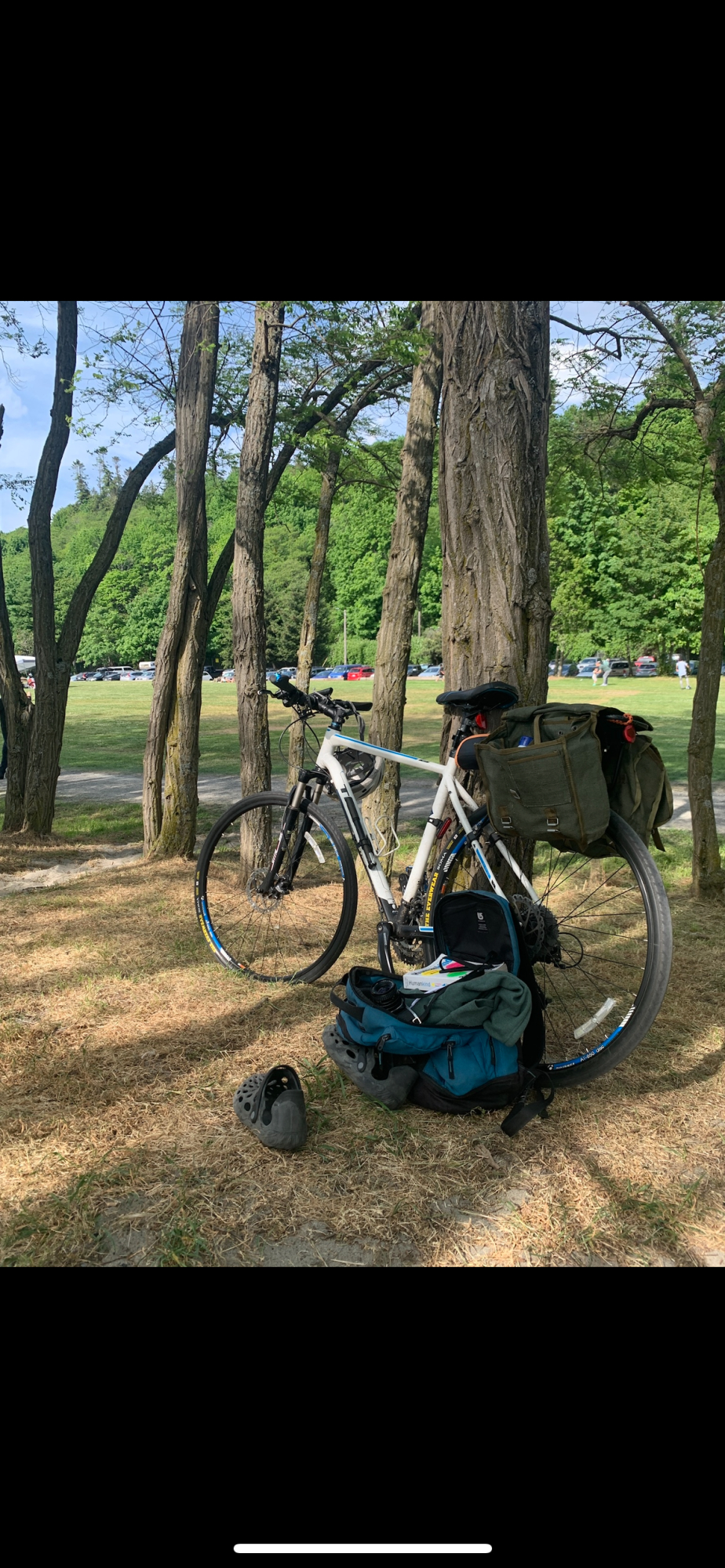 2012 Trek 8.4 DS White and Blue