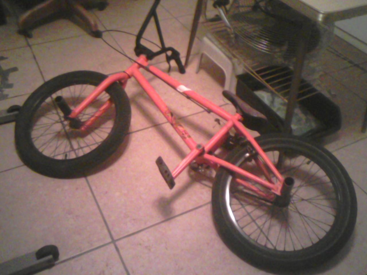 2011 We The People Trust  Orange