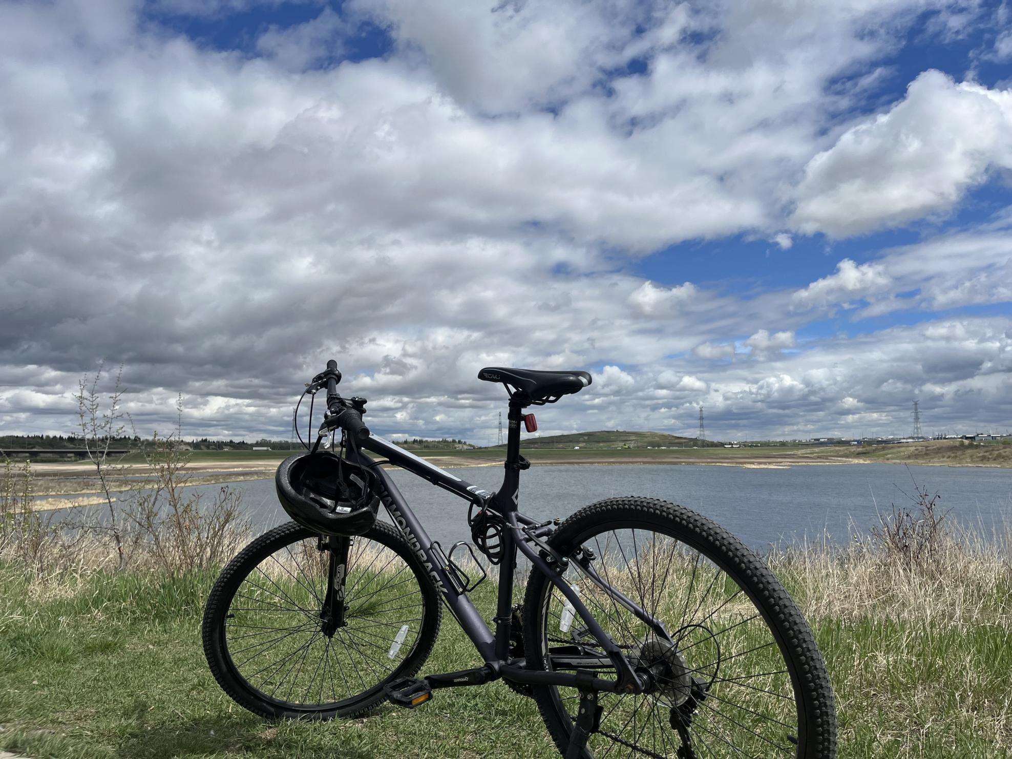 Diamondback Odyssey 27.5 Purple