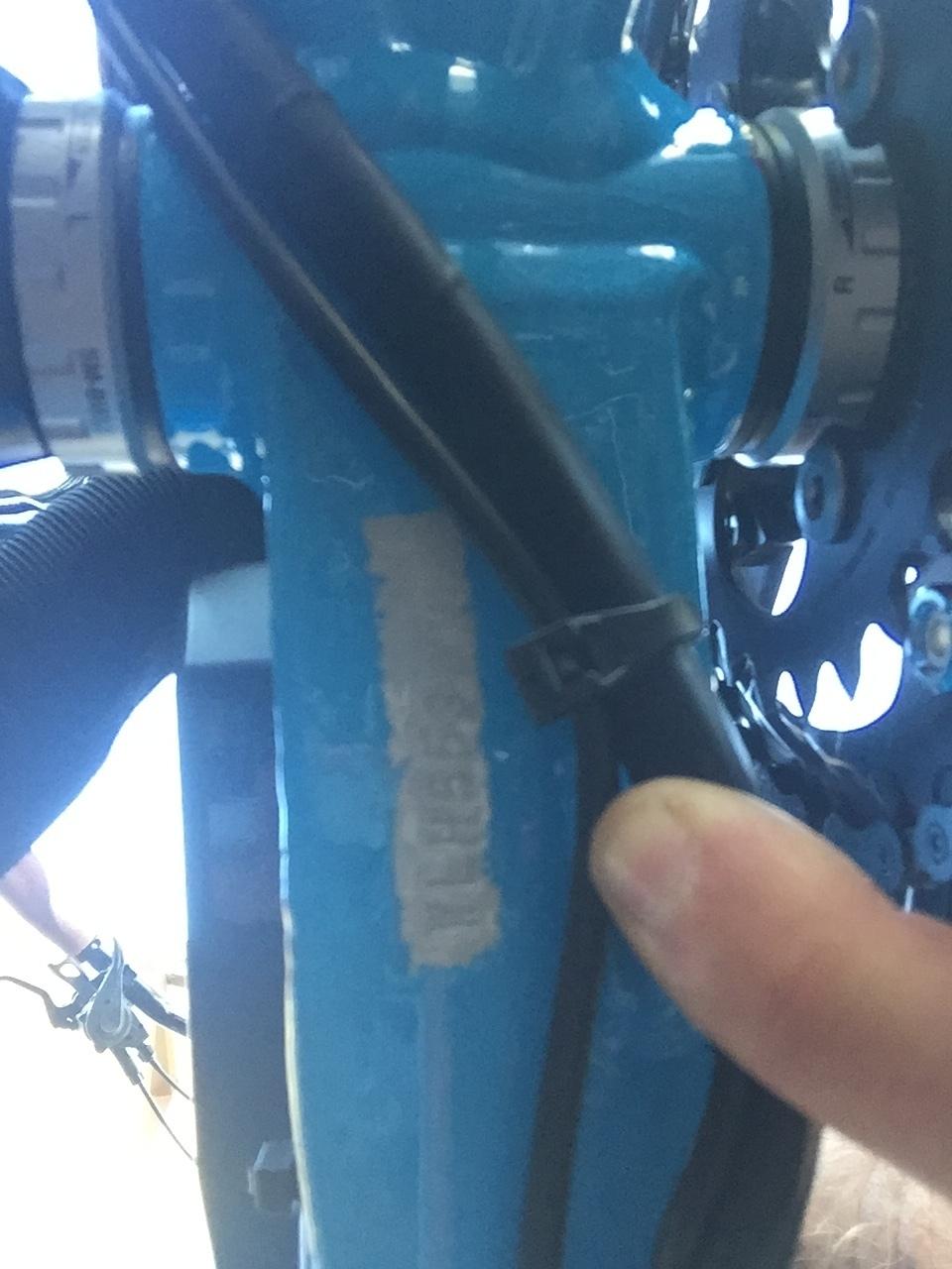 2017 Larry Vs Harry Bluebird Blue