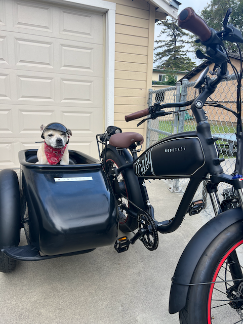 2024 Mod Bikes Easy 3 with sidecar Black