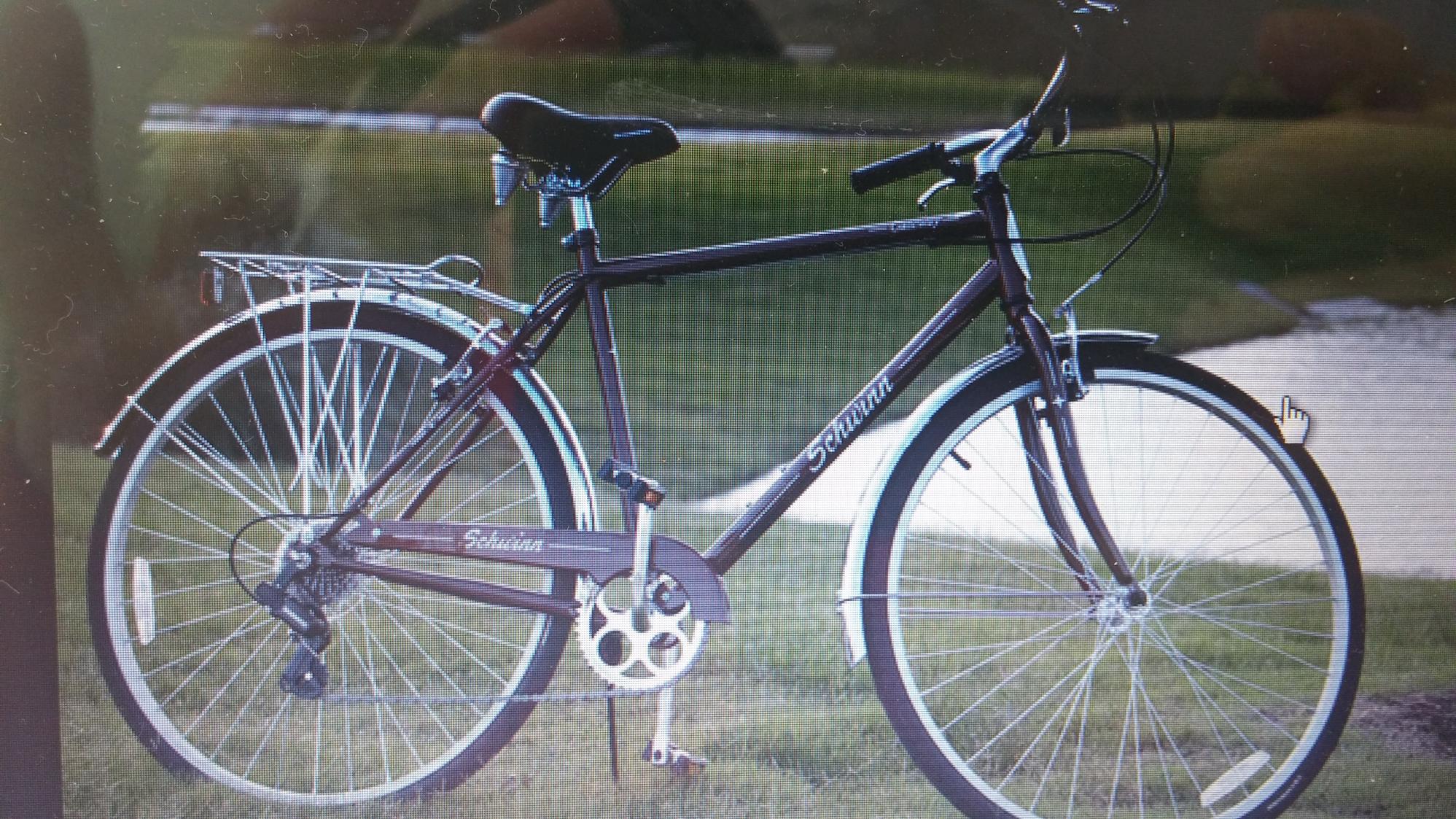 Schwinn Gateway Brown