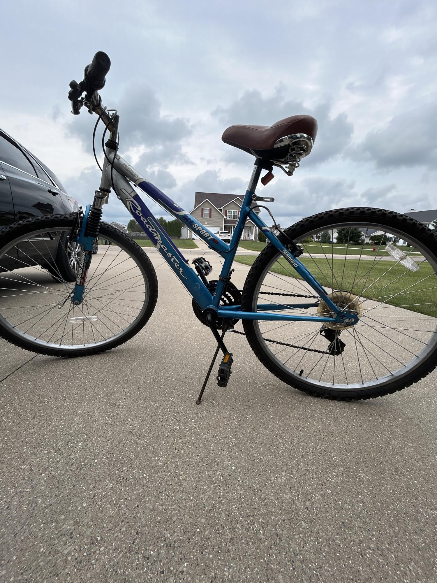 Shimano Roadmaster Blue