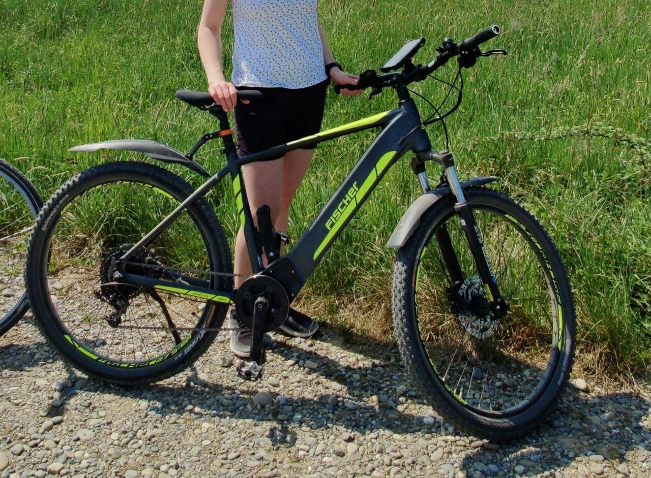 2019 Fischer MTB Silver, gray or bare metal and Green