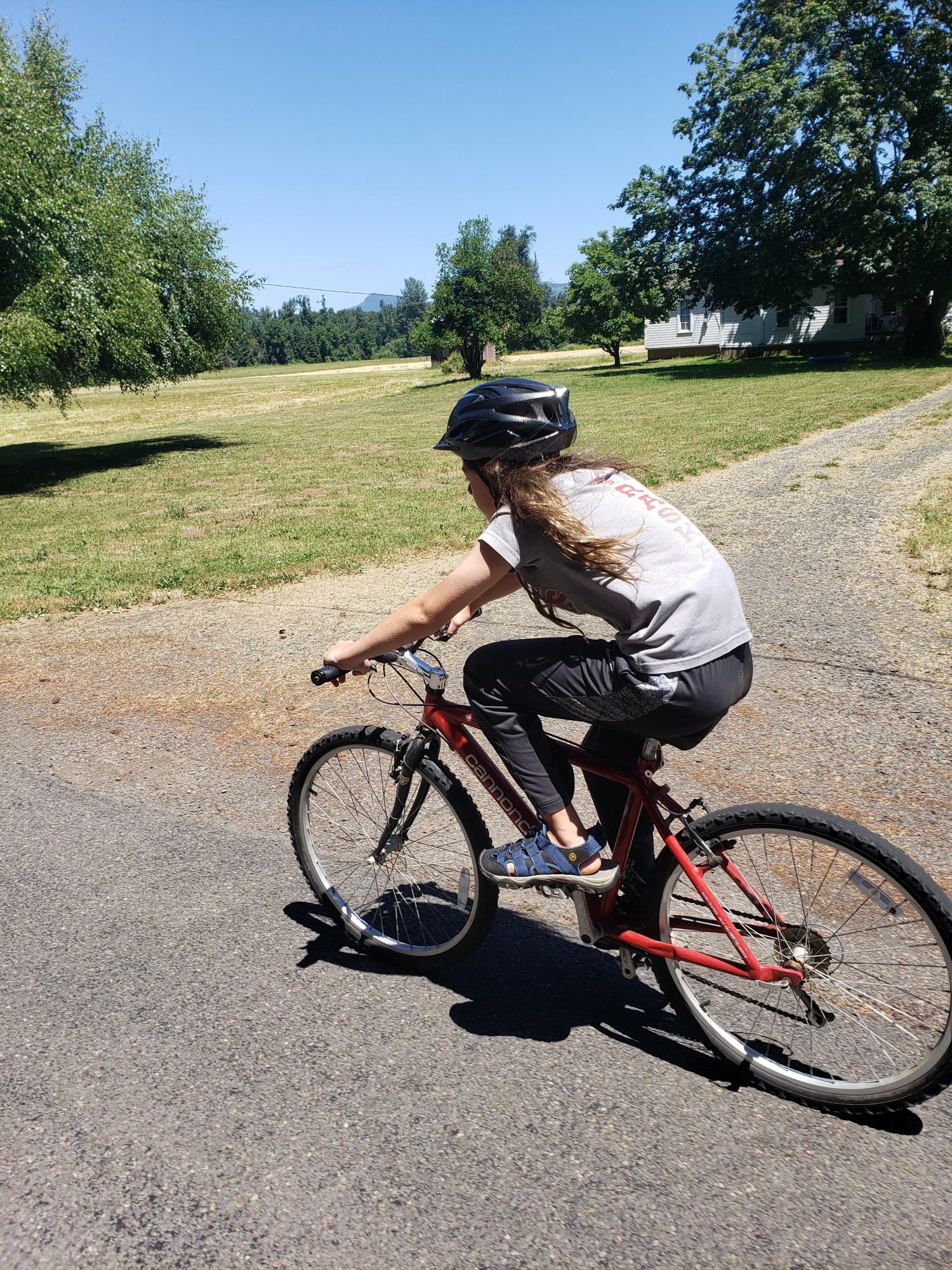 Cannondale Red