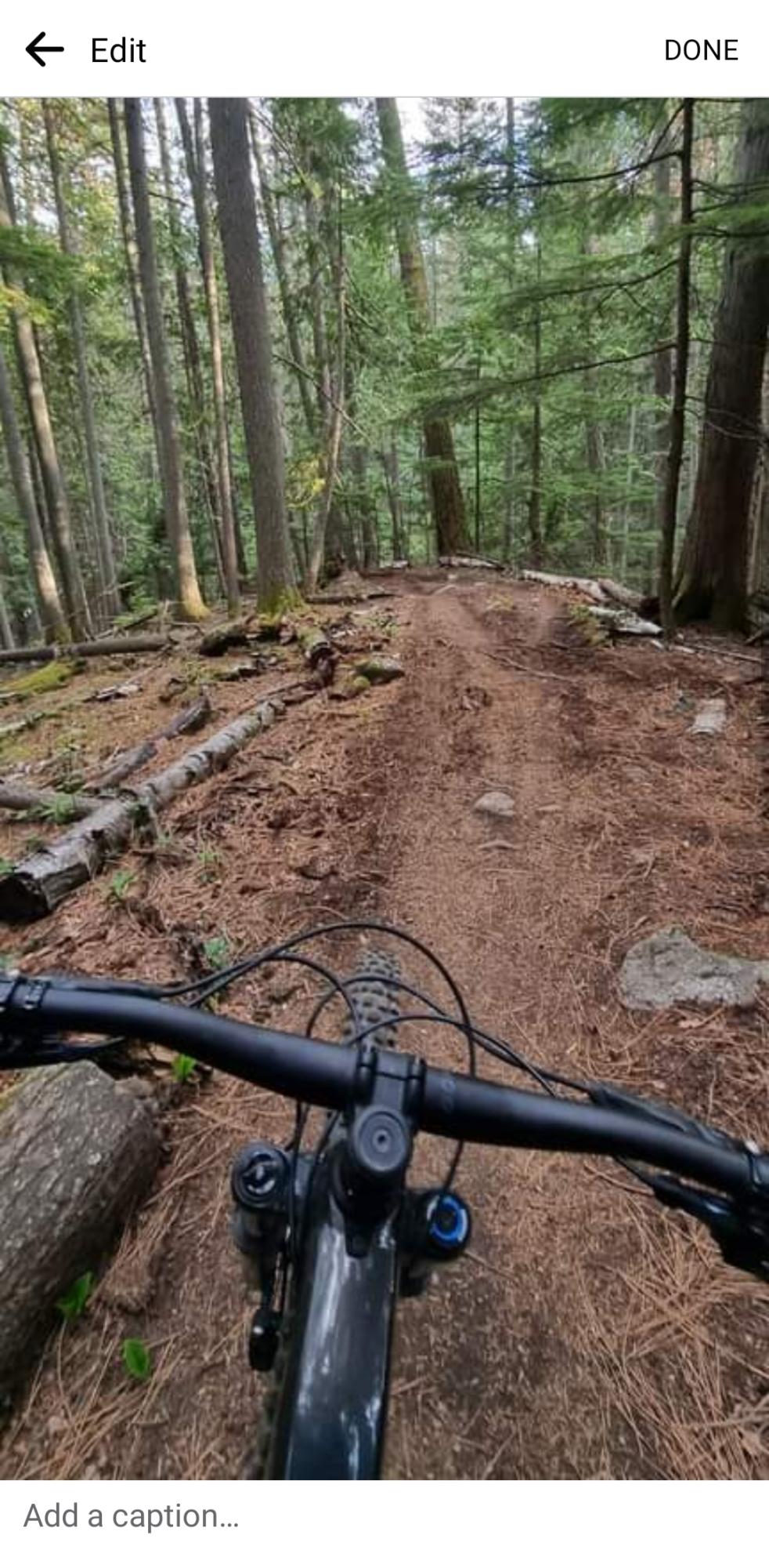 2022 Trek Slash 8 Black