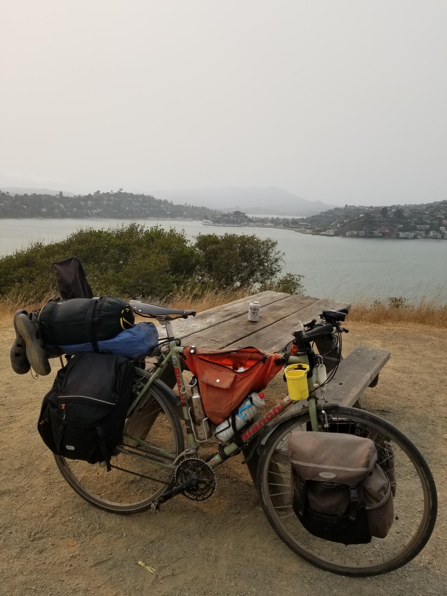 Bianchi Volpe Green and Red