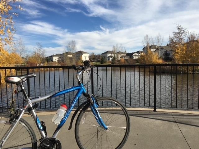 2007 Trek 7100 Blue
