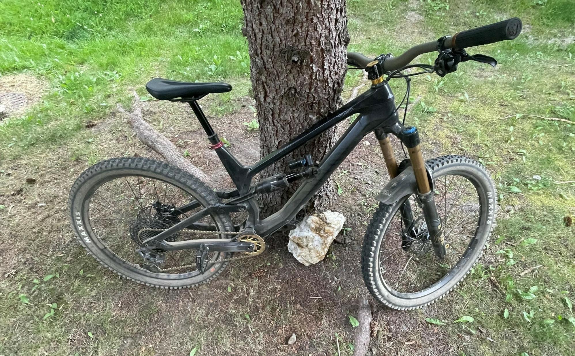 2021 Canyon bicycles Torque CF 8 Black