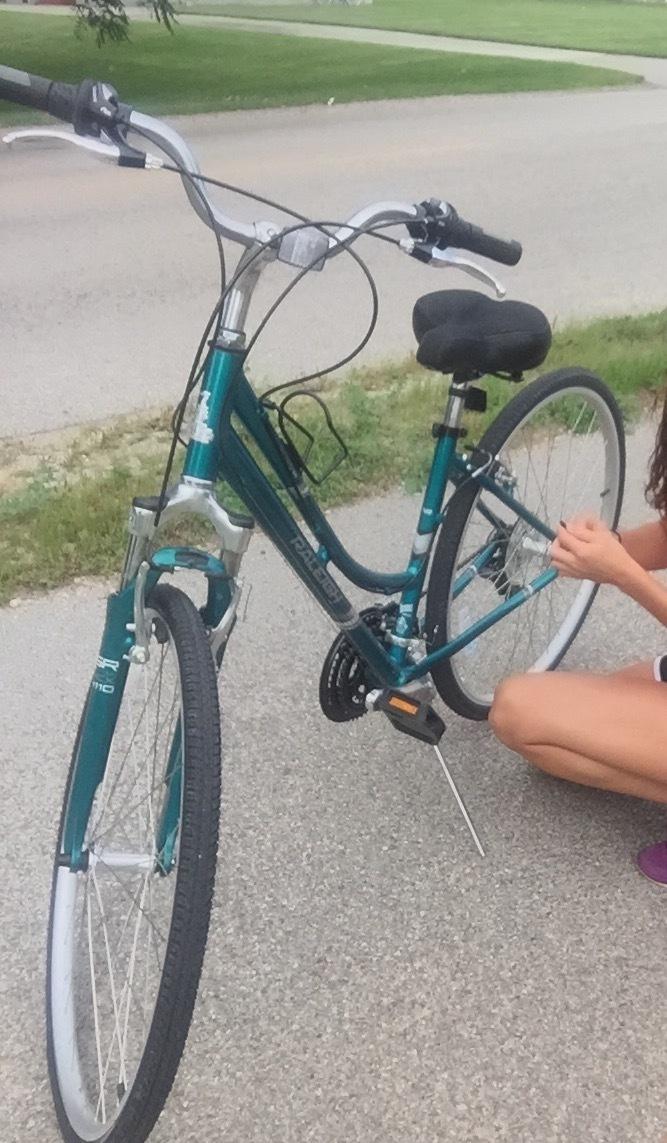 2016 Raleigh Venture 3.0 Green and Blue