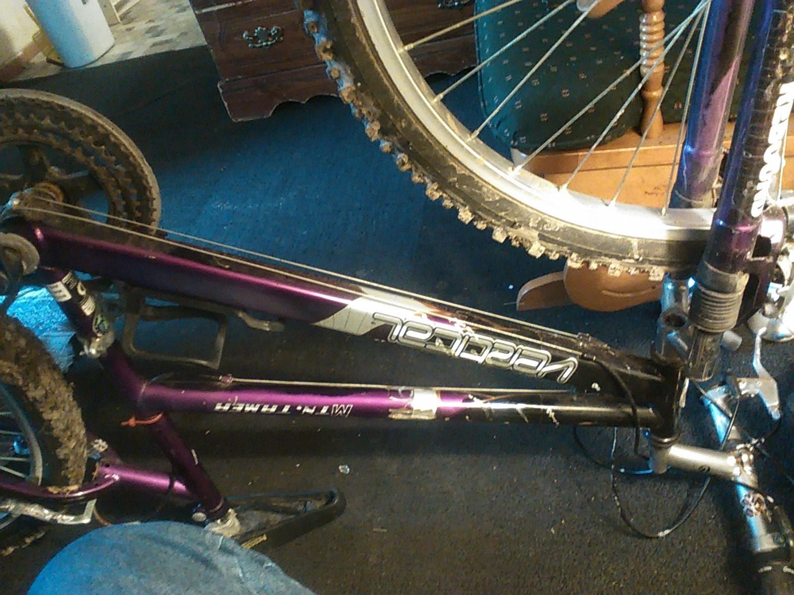 Other 8549-64 Purple