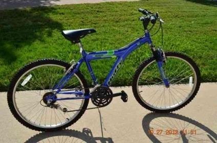 2002 Huffy Cypress Blue and Green