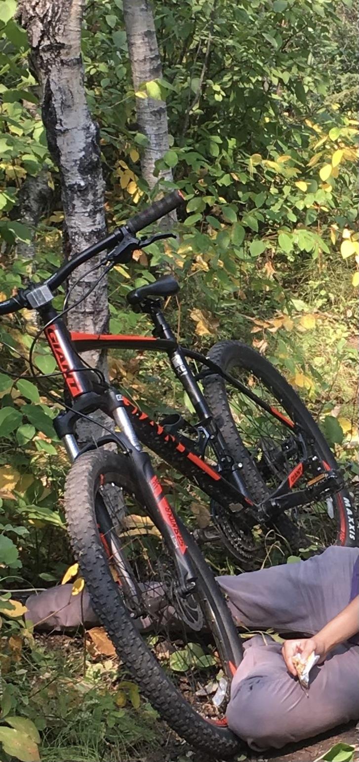 2017 Giant Talon 27.5 Black and Red