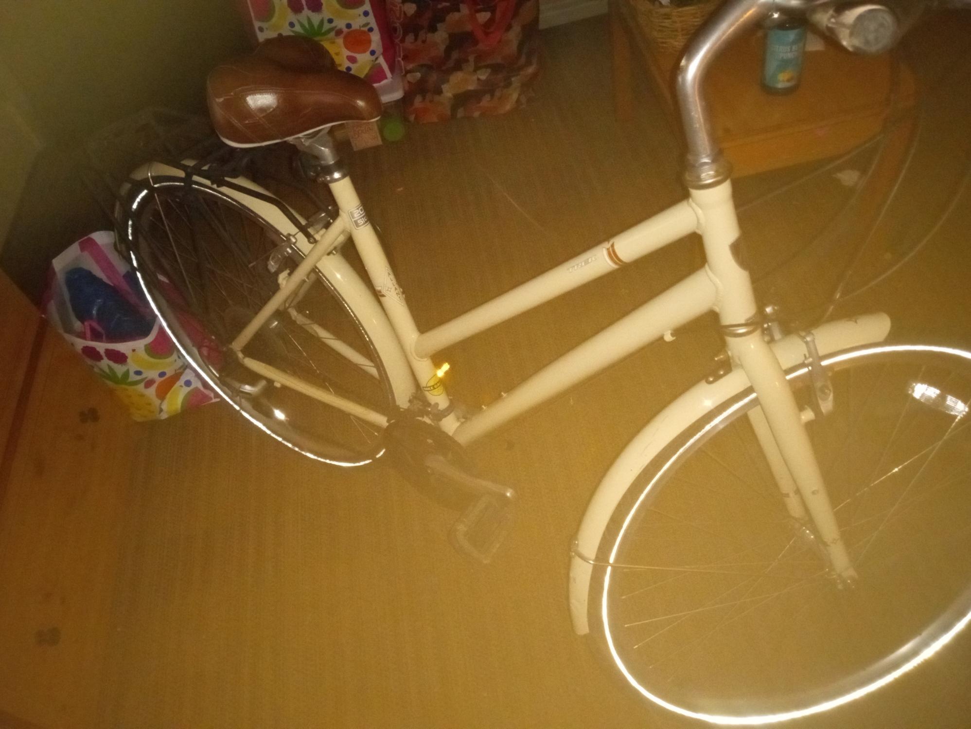 Trek Allant Brown
