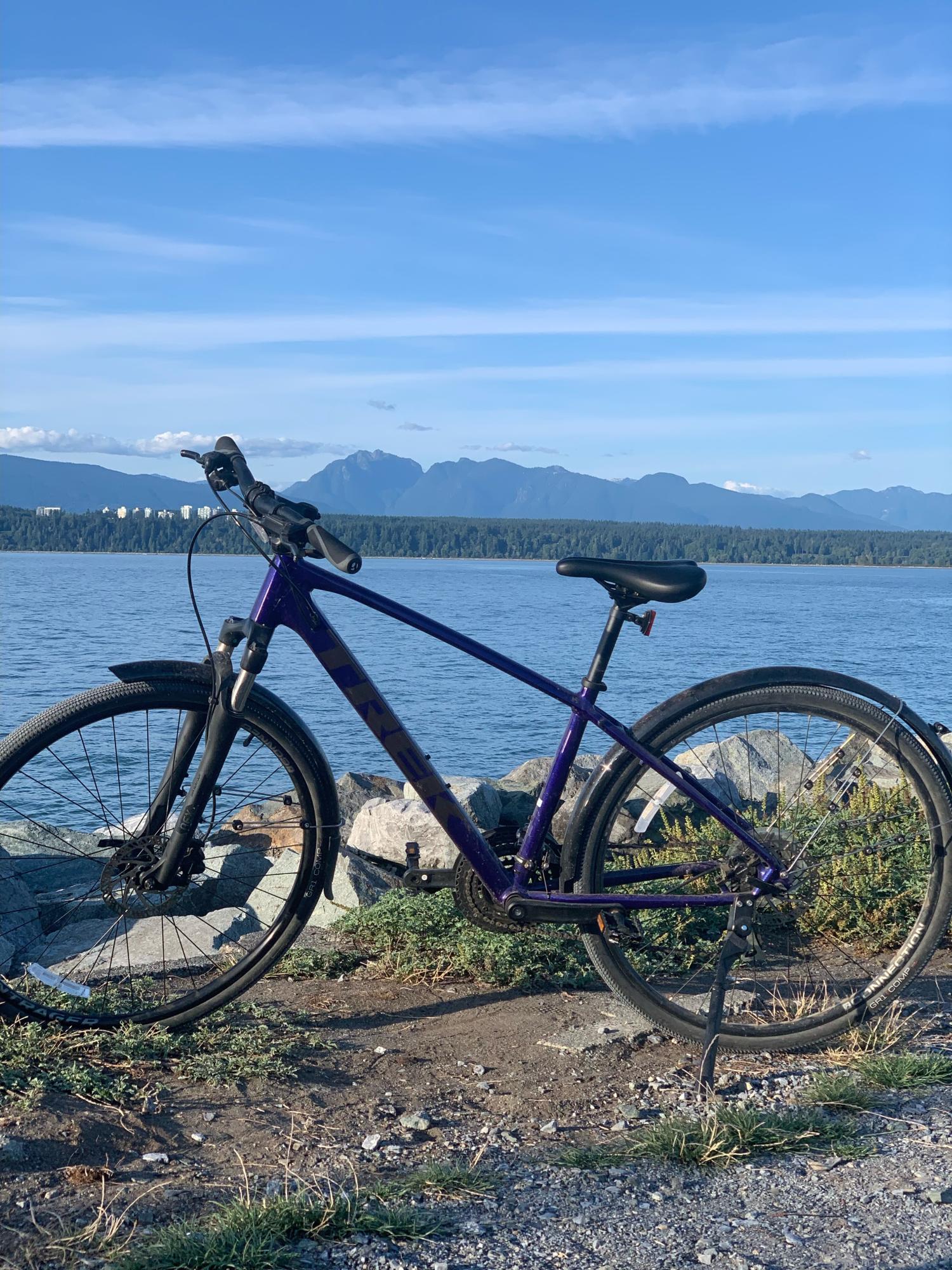 2020 Trek Purple Purple