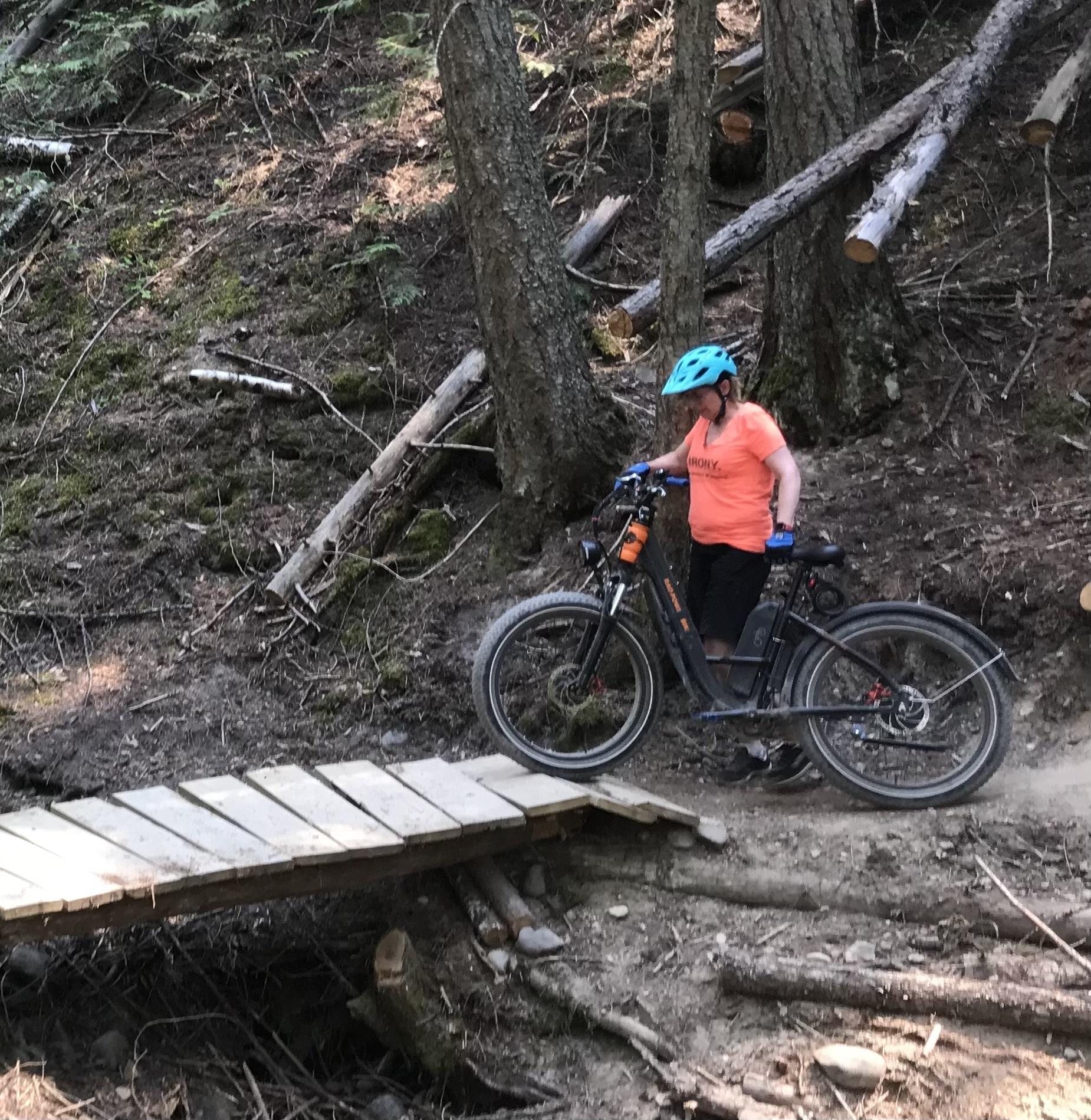 2020 Rad Power Bikes Rad Rover Step through 1 Black