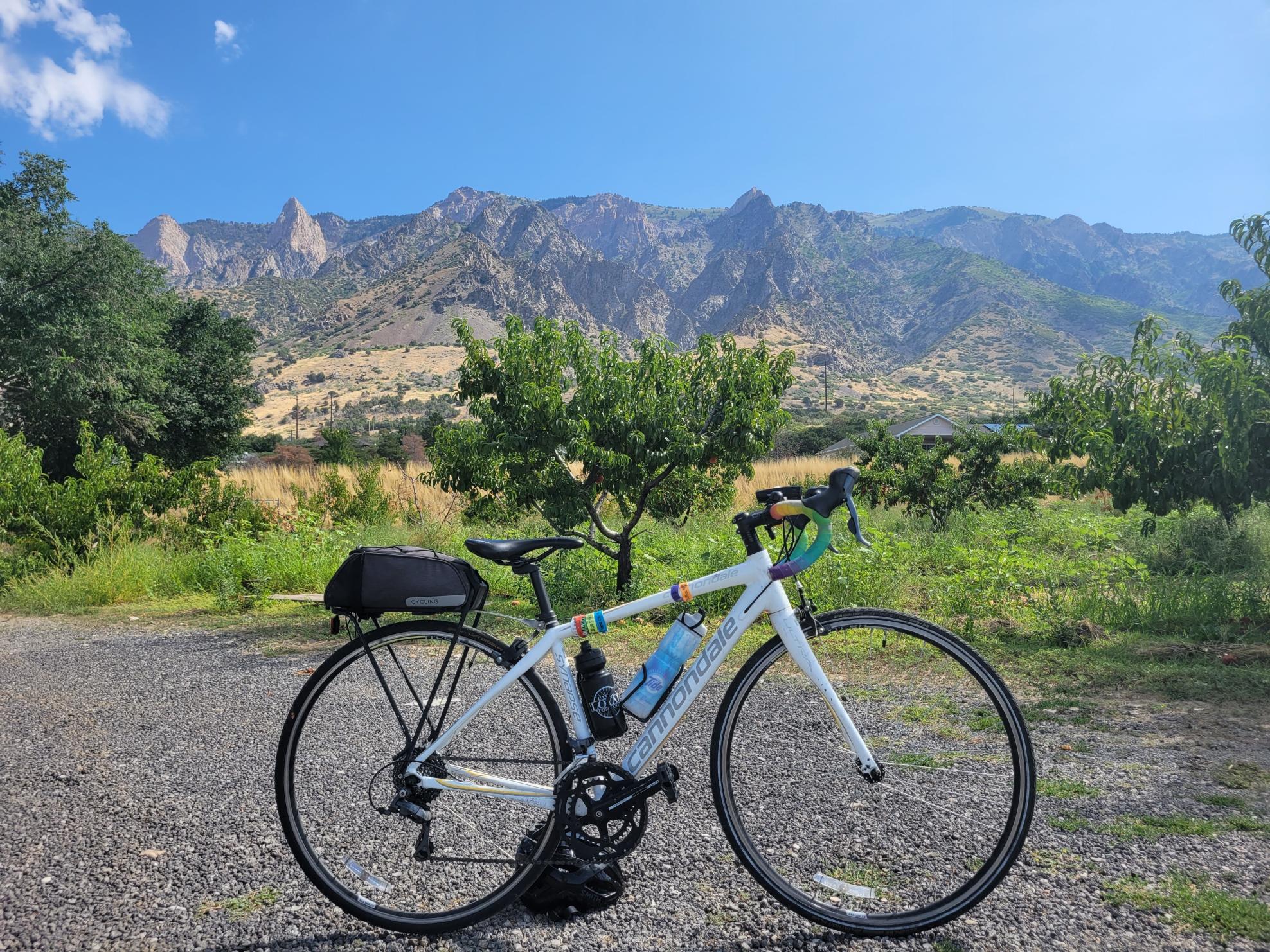 2016 Cannondale Synapse White