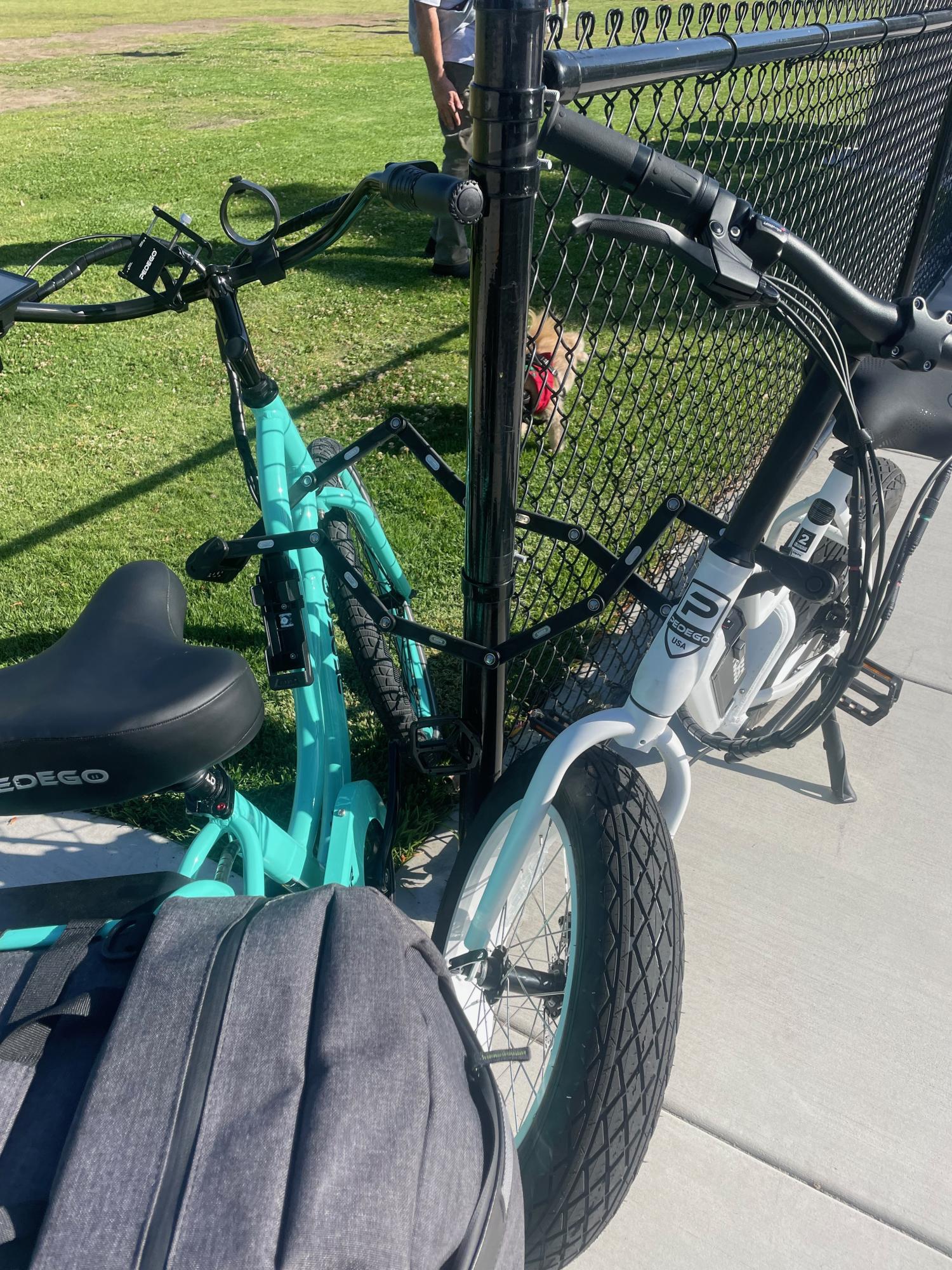 2021 Pedego Element White