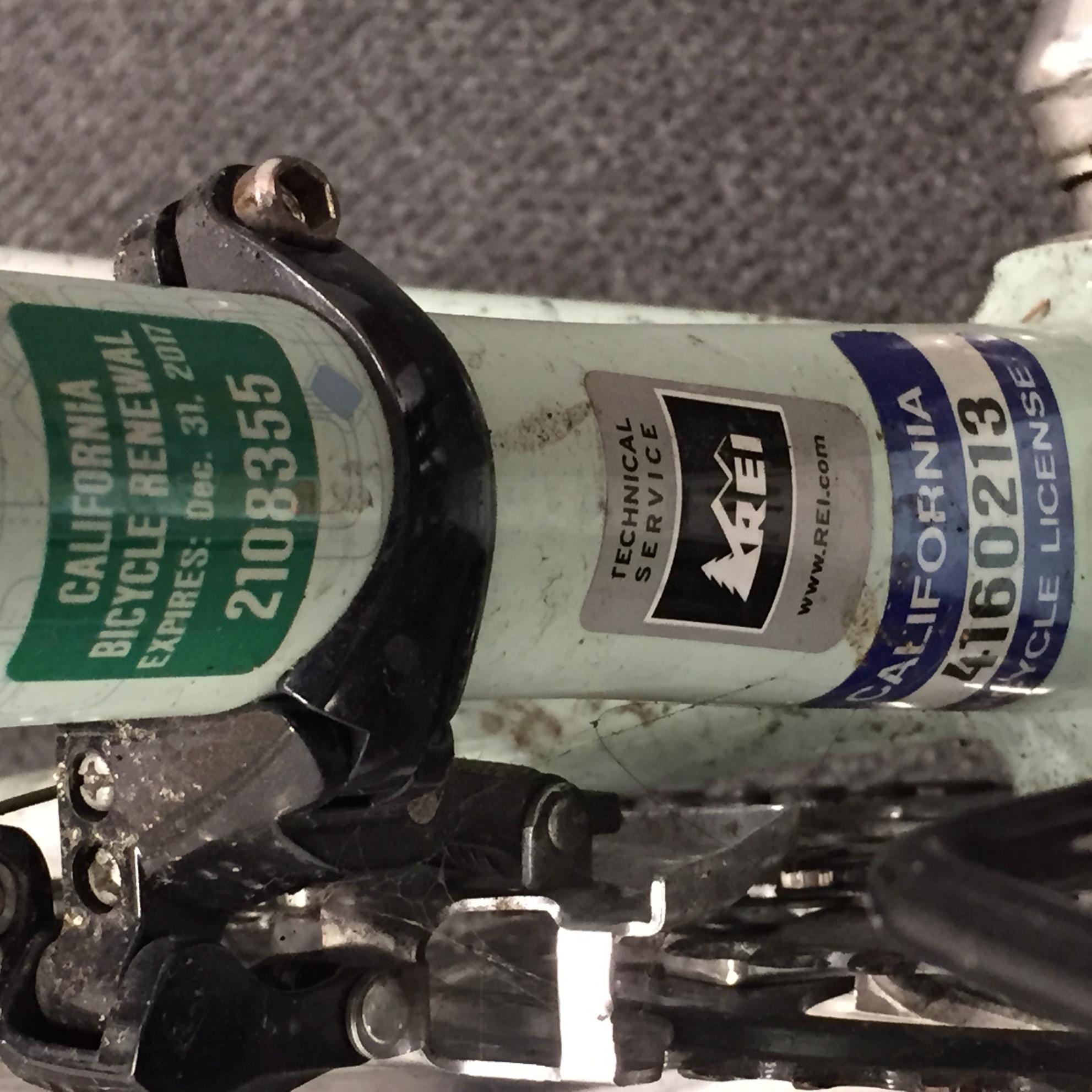 2014 Novara Carema Women's 2014 Green and Blue