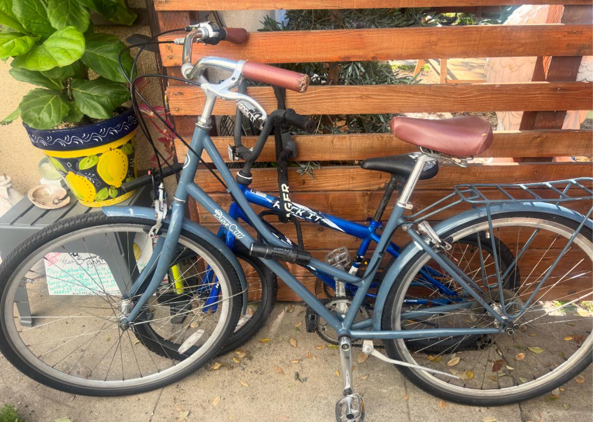 2020 Pure Cycles Step thru upright Pure City Blue