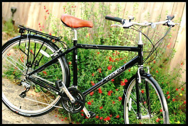 2010 Trek Allant  Black