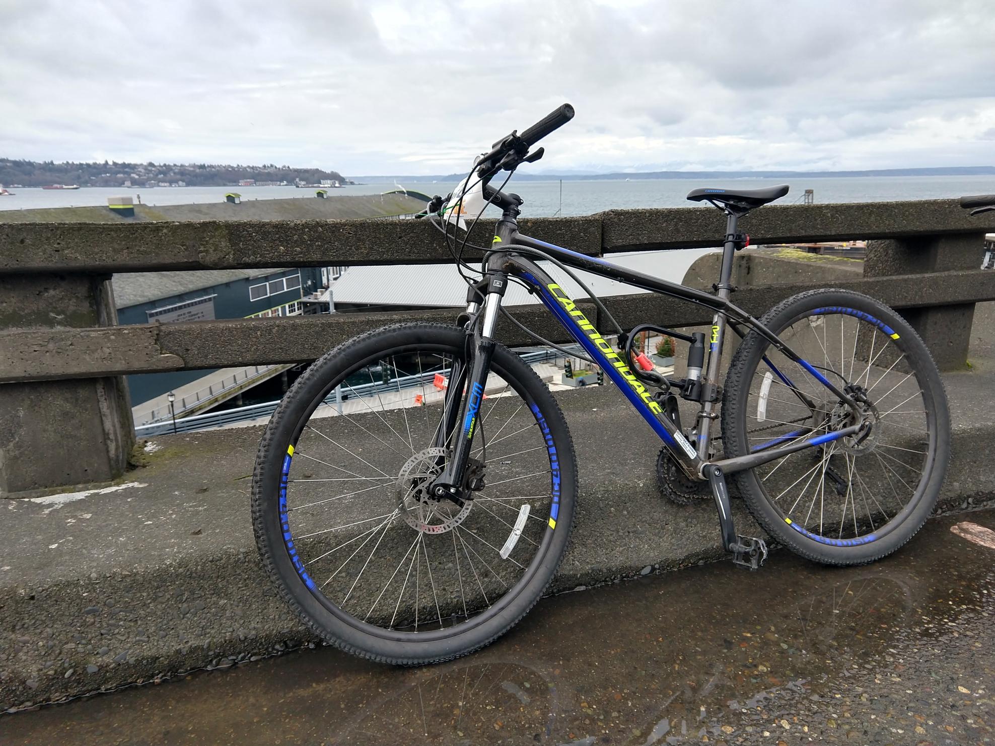 2017 Cannondale Black