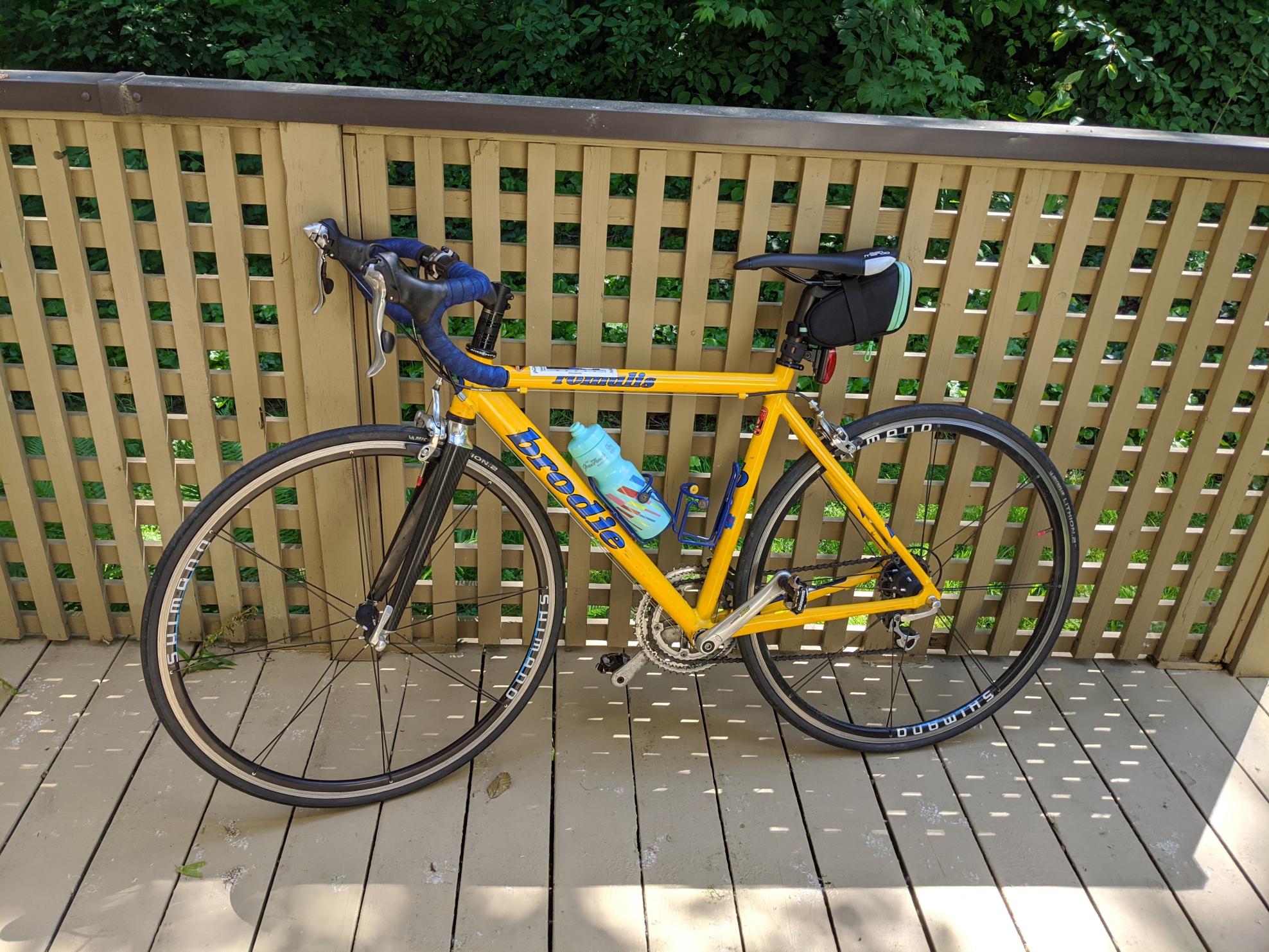 Brodie Yellow or Gold