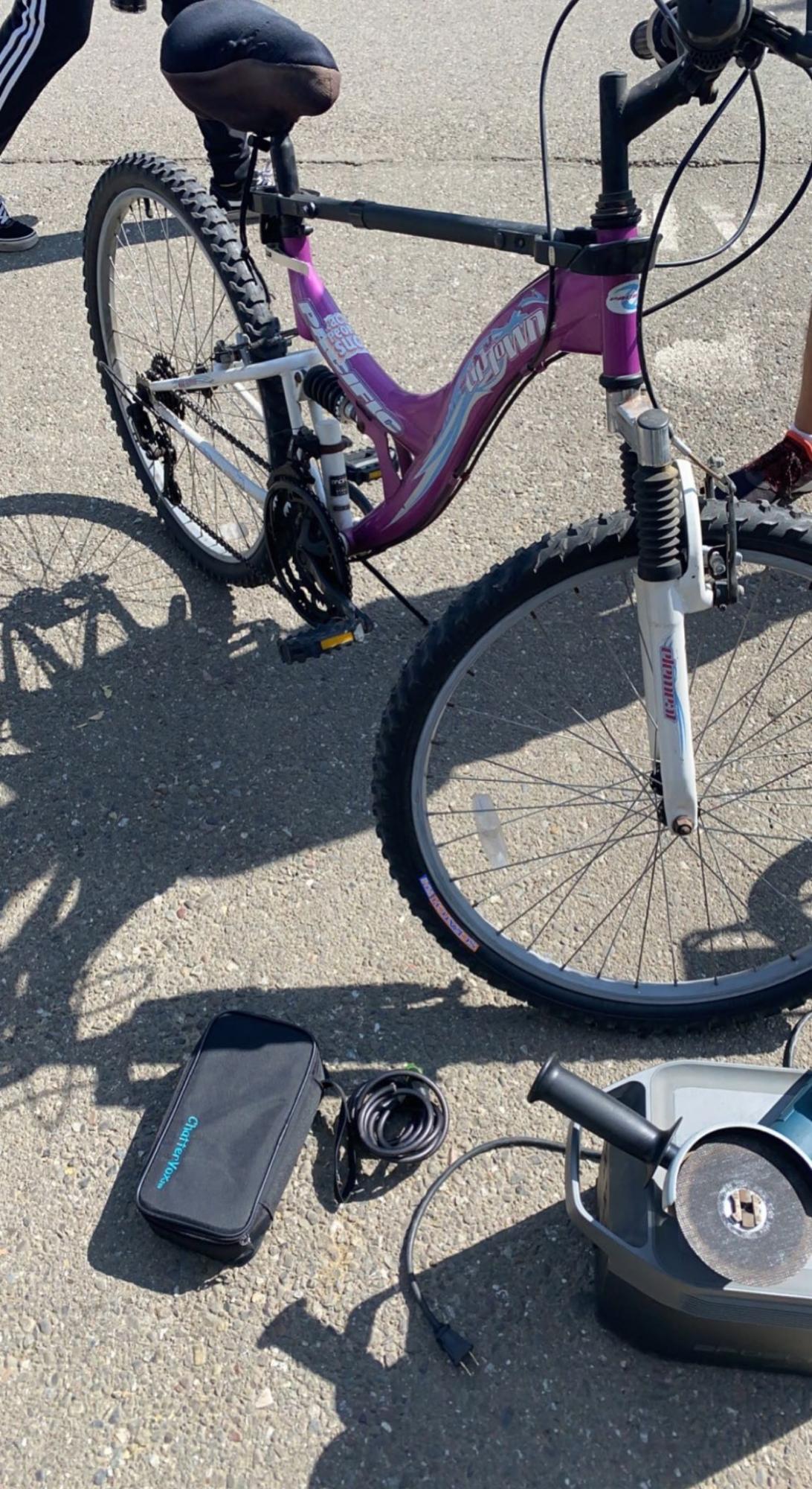 Pacific Cycle Uptown Purple