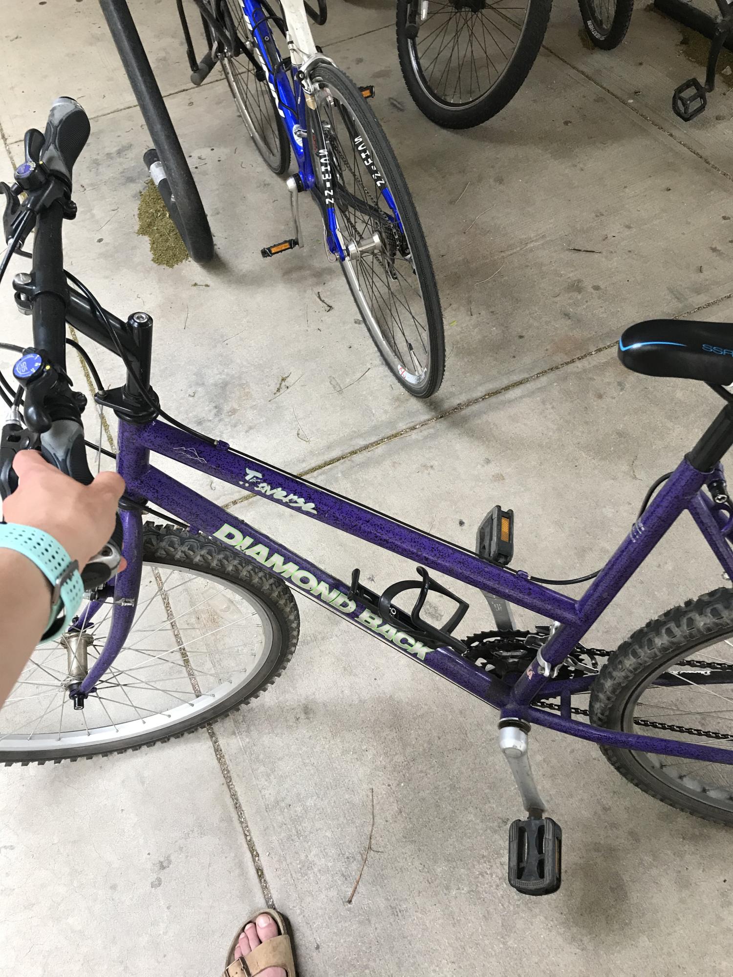 Diamondback Traverse Purple