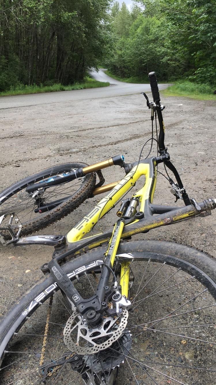 2015 Intense Carbine Yellow or Gold and Black