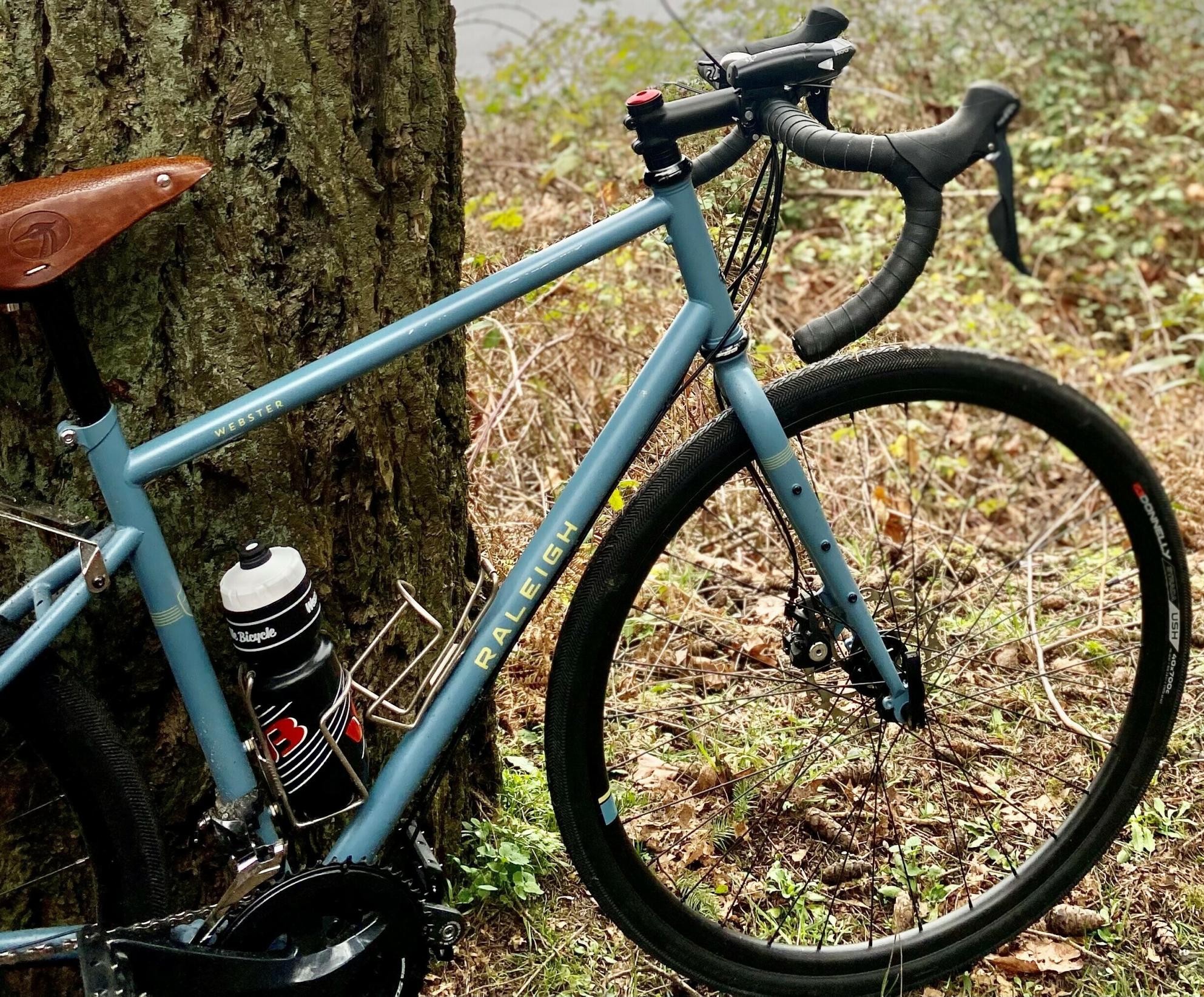 2018 Raleigh Webster Blue