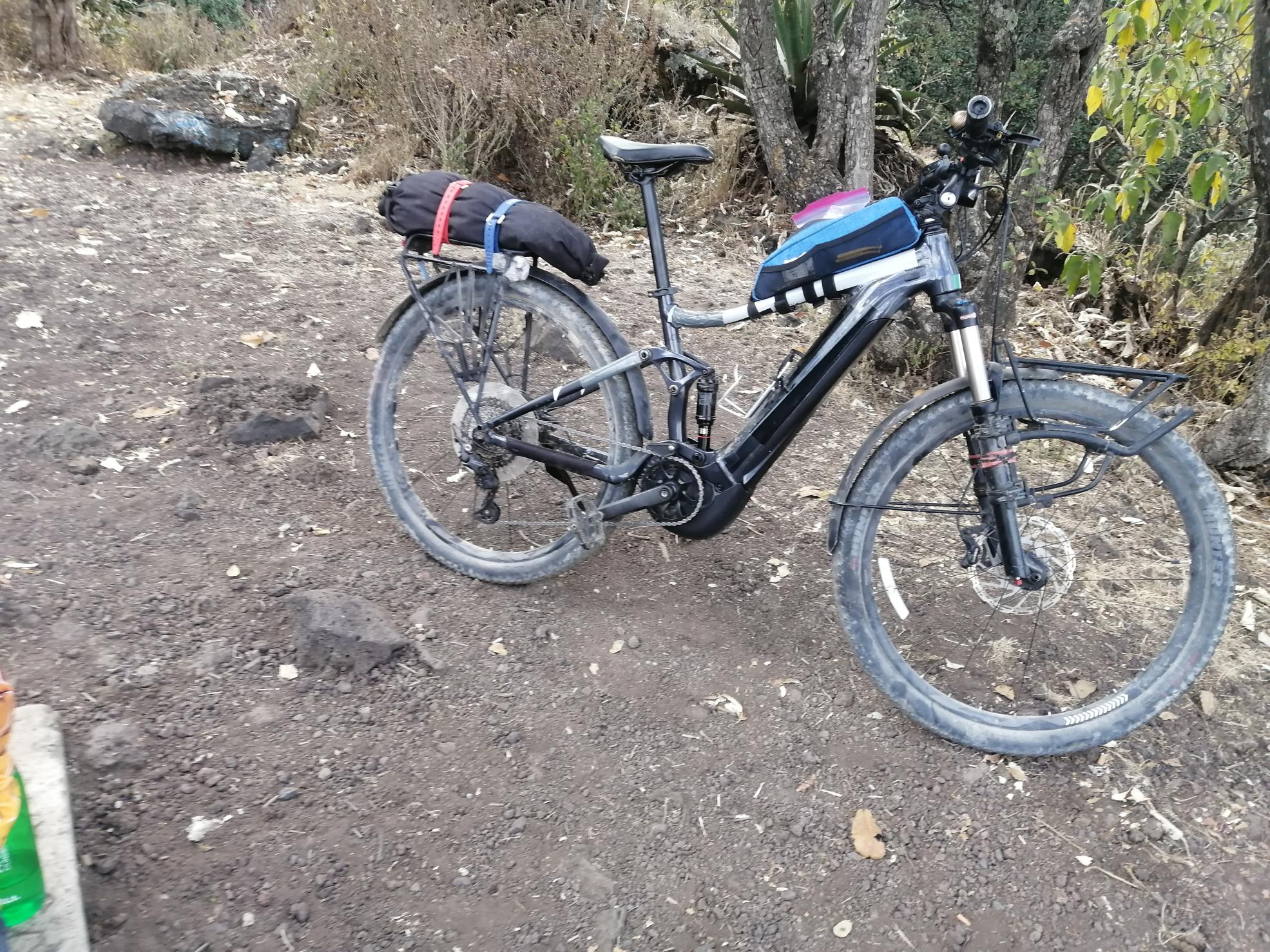 2023 Giant STANCE E+ EX 29 Silver, gray or bare metal