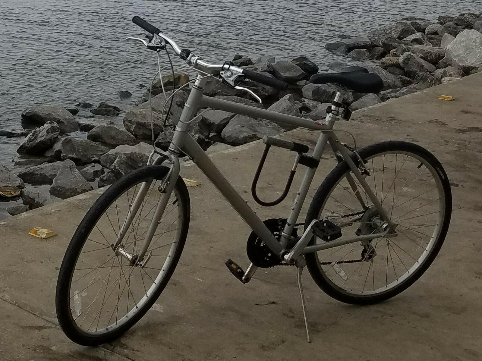 2012 Specialized Work Silver, gray or bare metal