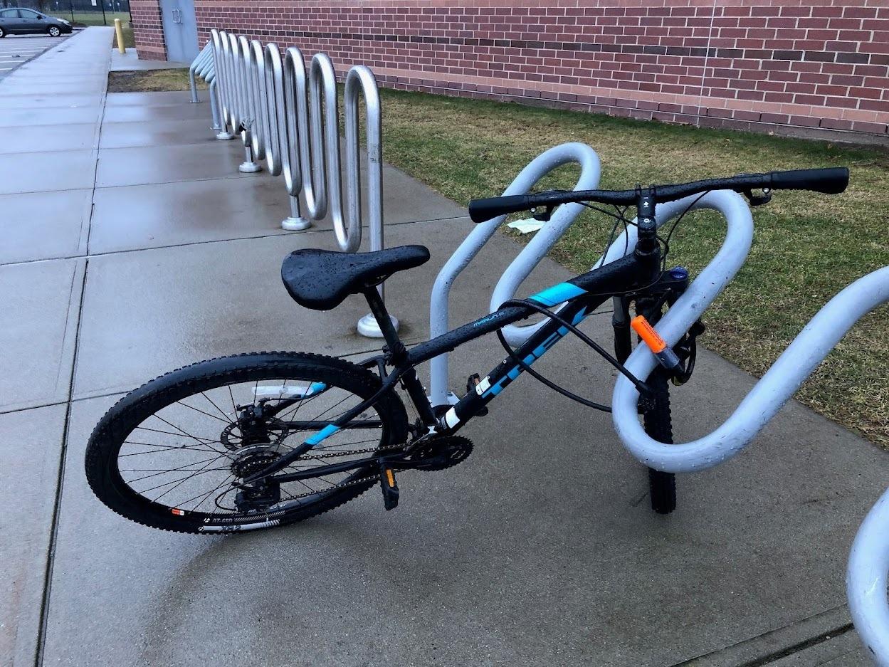 Trek Marlin Black and Blue