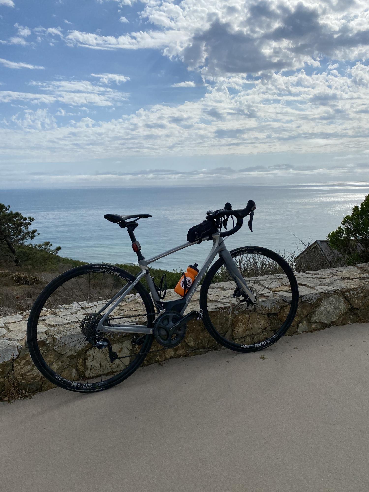 2017 Specialized Ruby Expert Silver, gray or bare metal