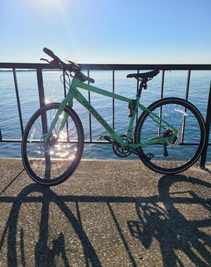 2020 Cannondale Quick 3 Green