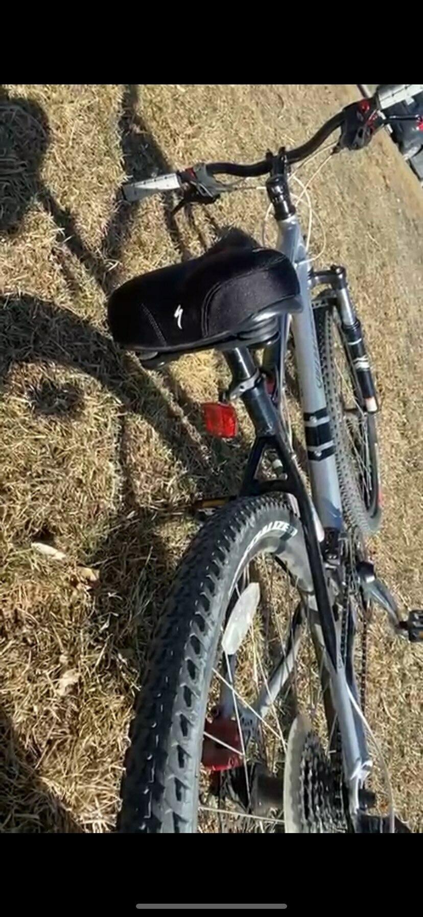 2025 Specialized Rockhopper Silver, gray or bare metal