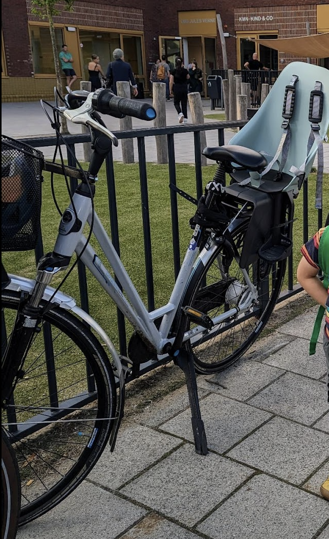 2016 Gazelle Eclipse Silver, gray or bare metal