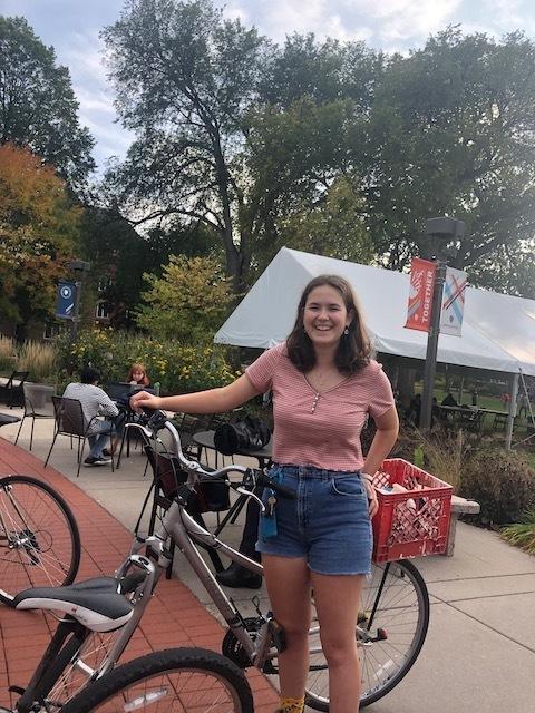 Raleigh Silver, gray or bare metal