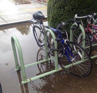 Schwinn Prelude  Blue