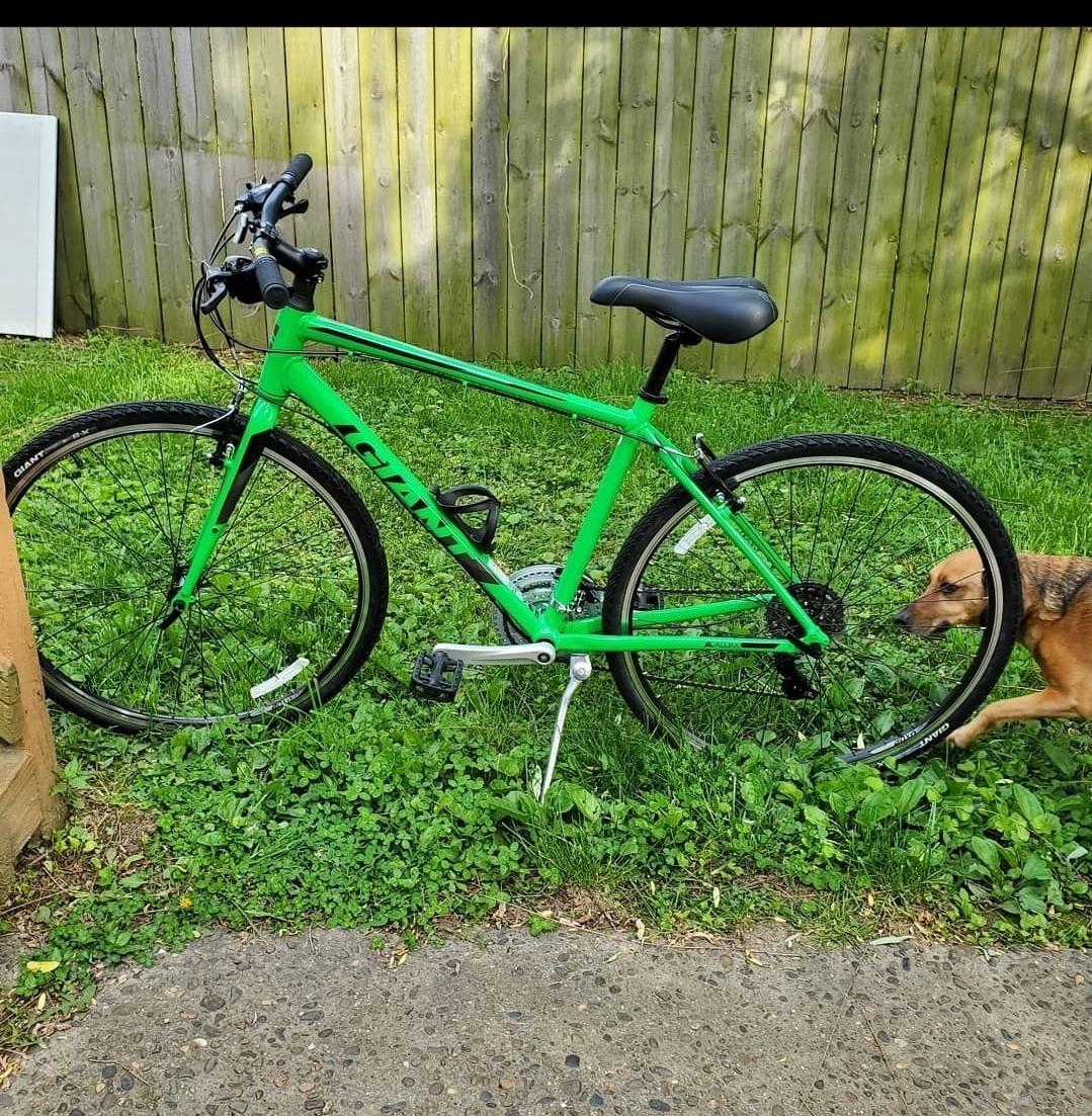 2019 Giant Escape 3 Green