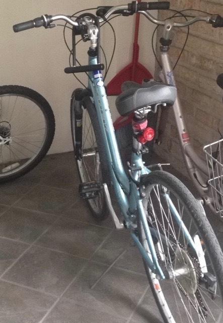 Trek 7100 Teal and Black