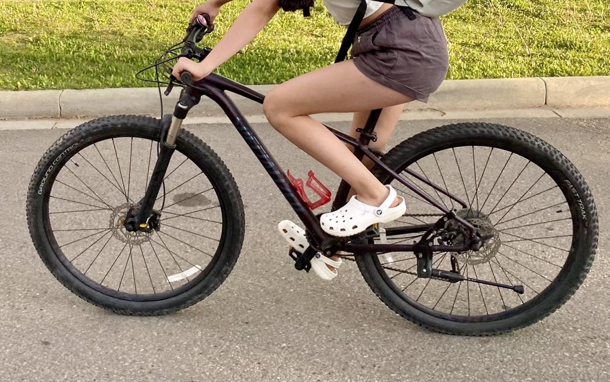 2019 Specialized Rockhopper Expert 29 Purple